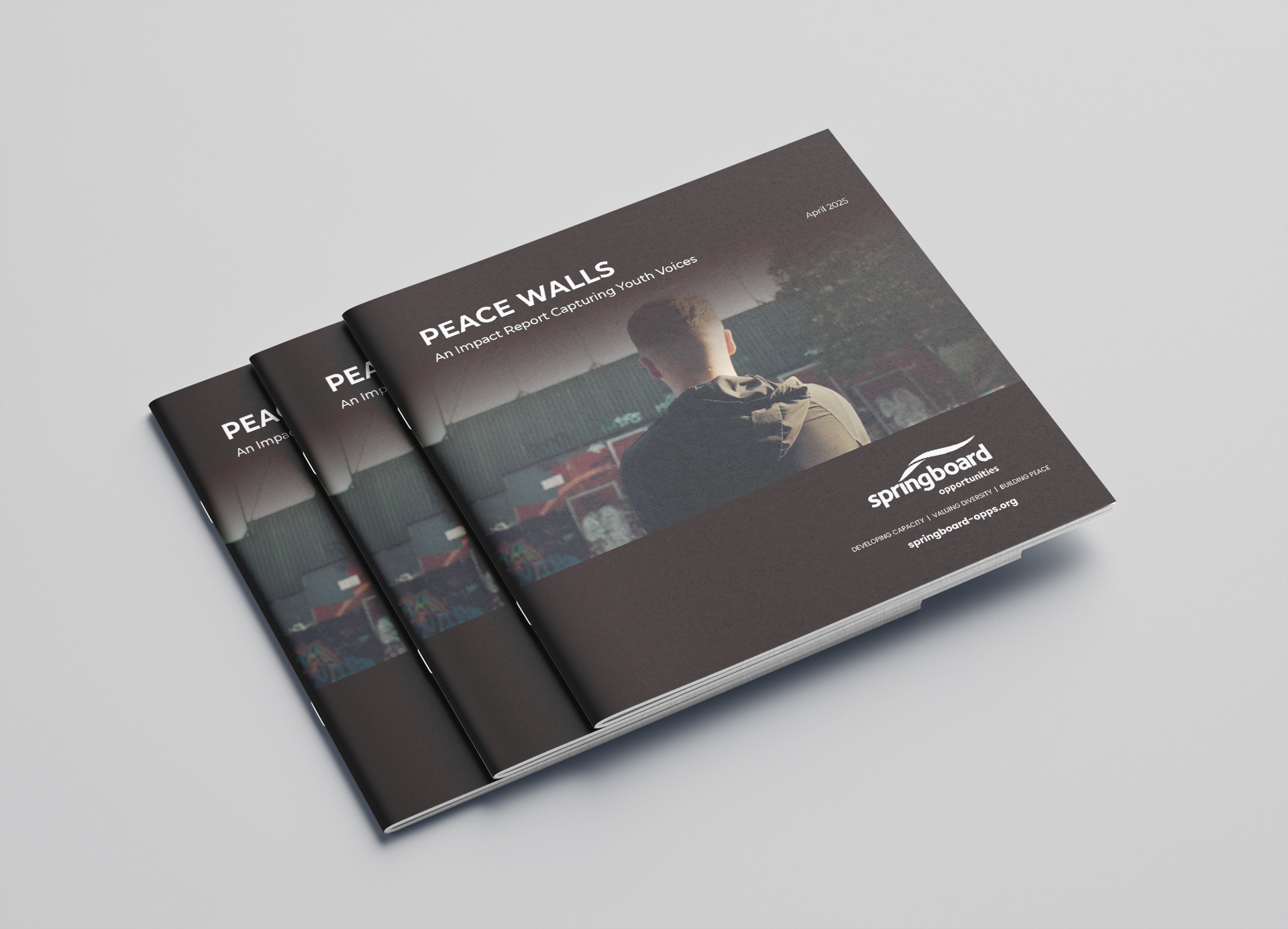 Springboard — image 5