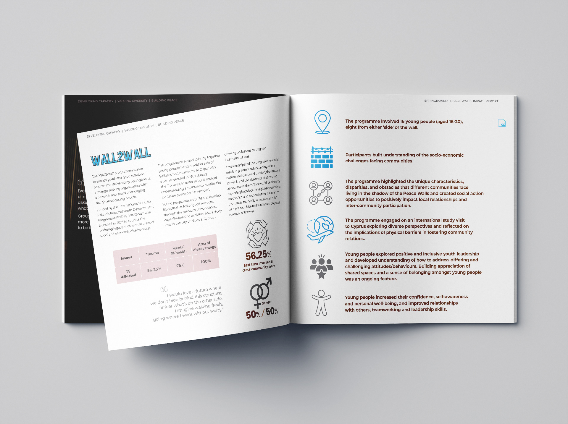 Springboard — image 6