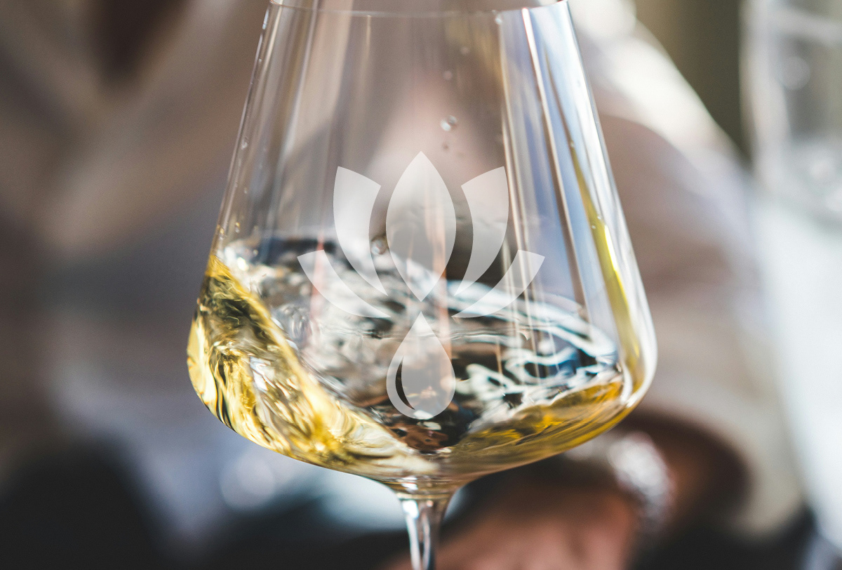 Wine & Yoga — image 3